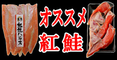 紅鮭